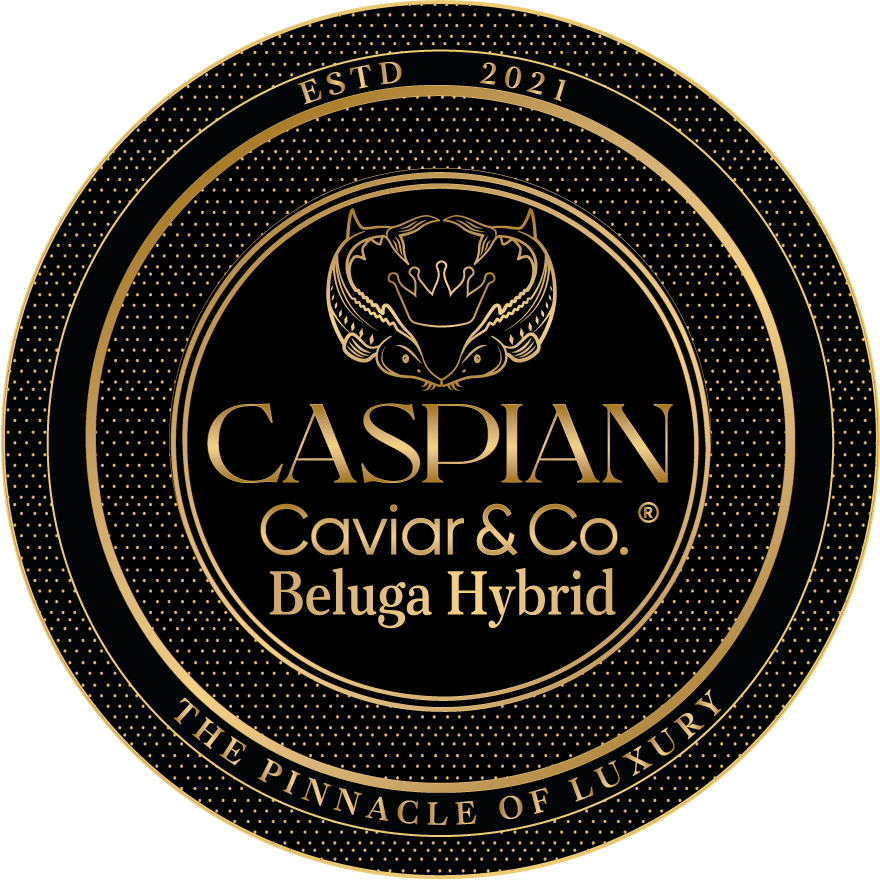 Beluga Hybrid Huso Huso x Huso Nudiventris (Caspian Sea-Limited)