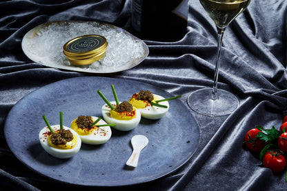 White Sturgeon - Acipenser Transmontanus