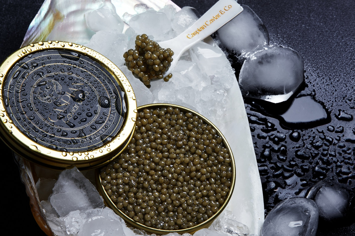 Royal Osetra - Acipenser Gueldenstaedtii