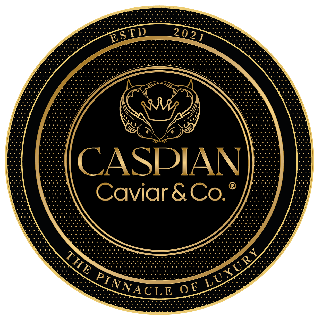 Siberian Sturgeon - Acipenser Baerii