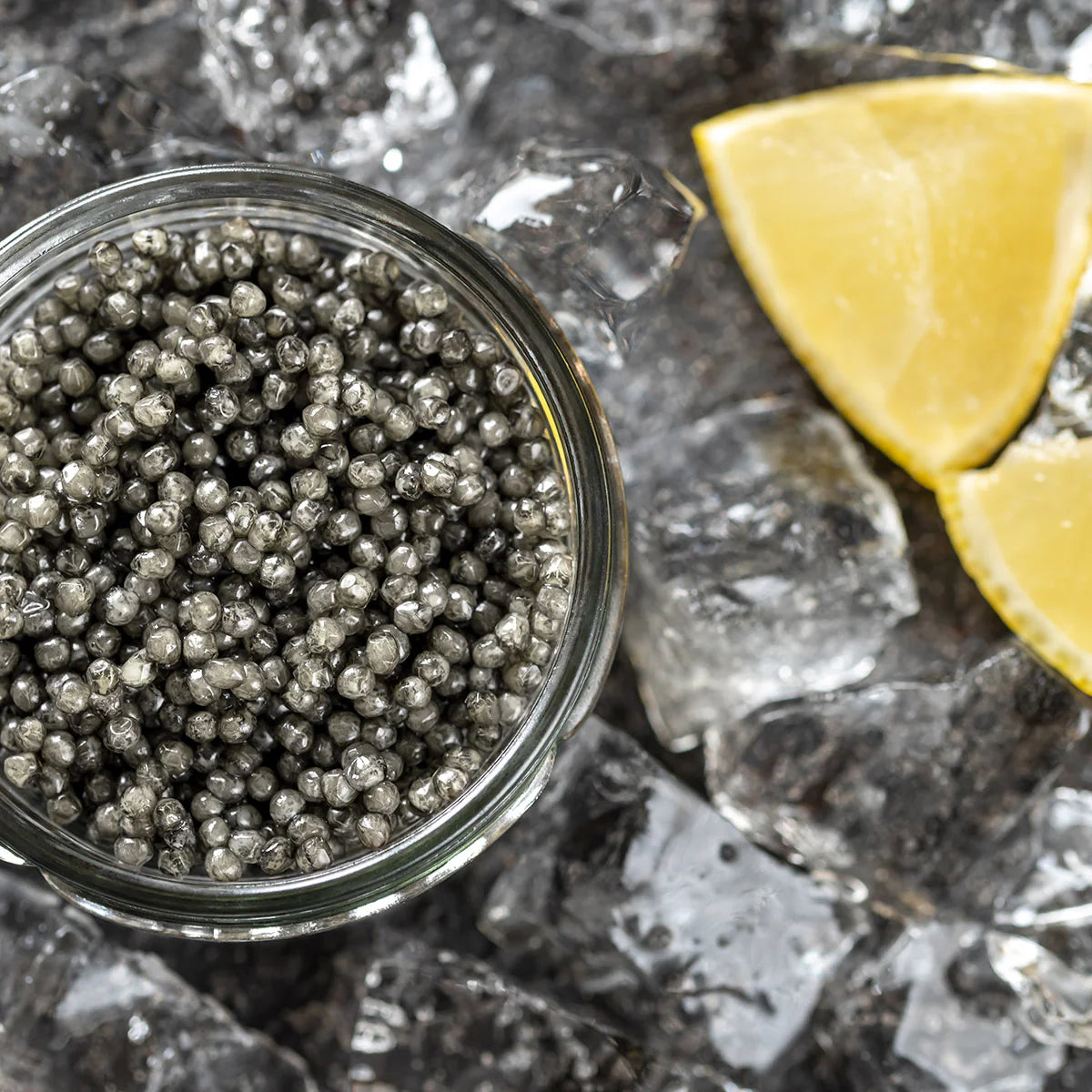 Beluga Hybrid Huso Huso x Huso Nudiventris (Caspian Sea-Limited)